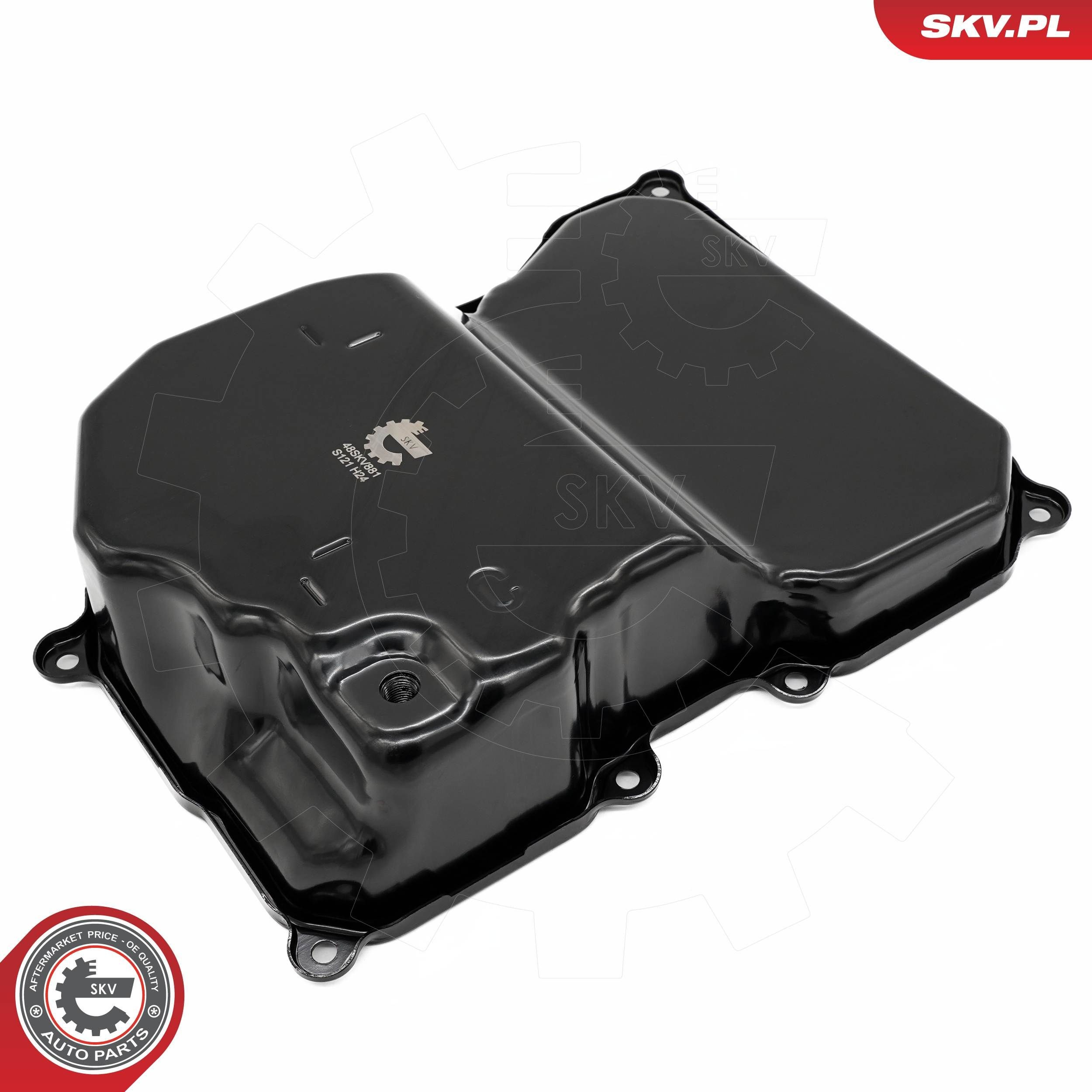 48SKV881 SKV